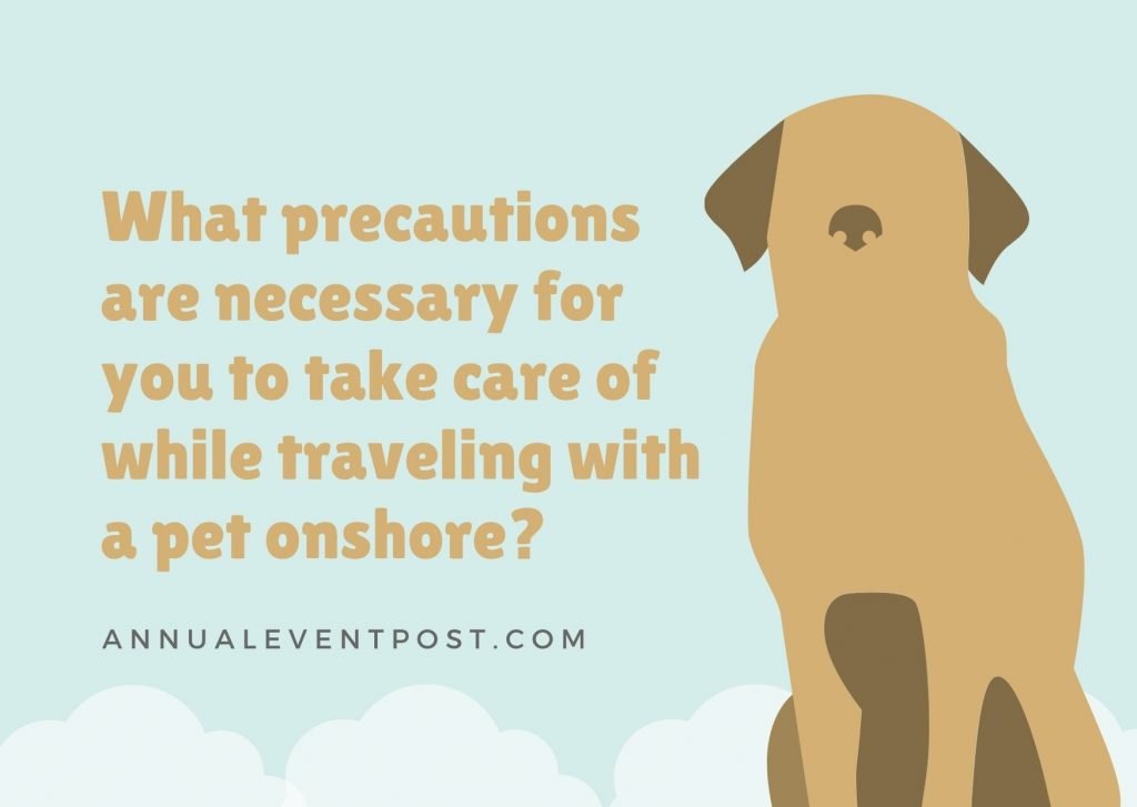 What precautions are necessary for you to take care of while traveling with a pet onshore?