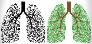 6 Ways to Cleanse Your Lungs After Quitting Smoking