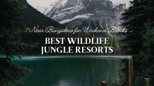 7 Near Bangalore for Weekend Breaks Best Wildlife Jungle resorts