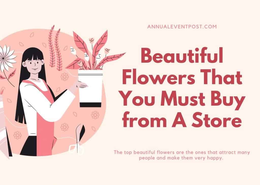 Beautiful Flowers That You Must Buy from A Store