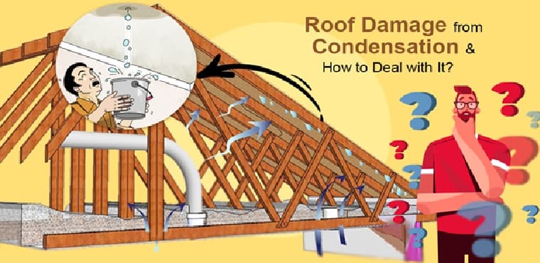 Roof Damage from Condensation & How to Deal with It?