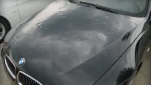 Hail Damage